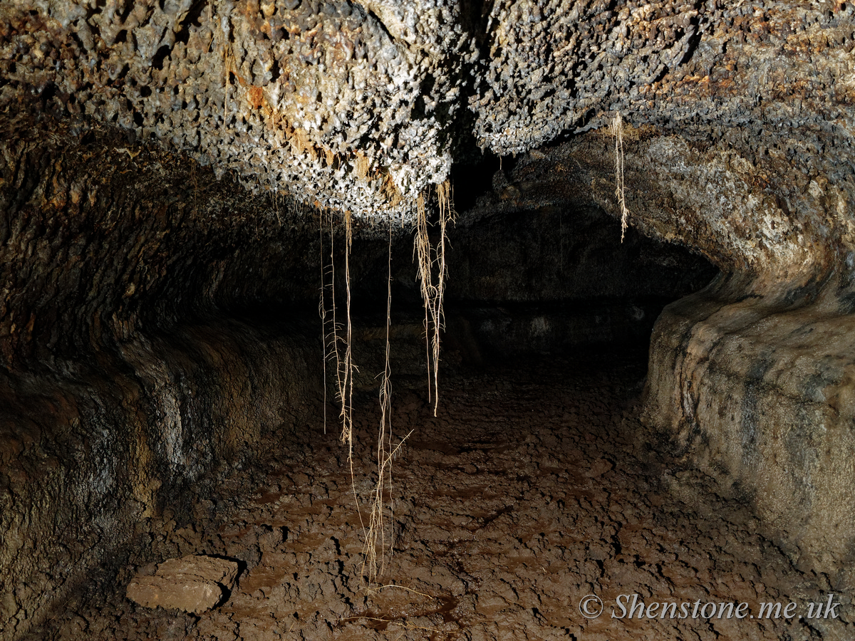 Cueva del Viento Breveritas Entrance, Tenerife, canary Islands